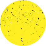 Shiny Beautiful Element